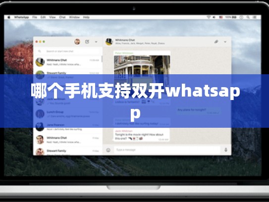 哪个手机支持双开whatsapp