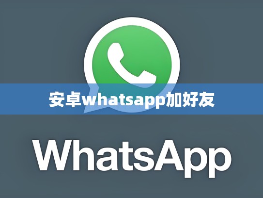 安卓whatsapp加好友