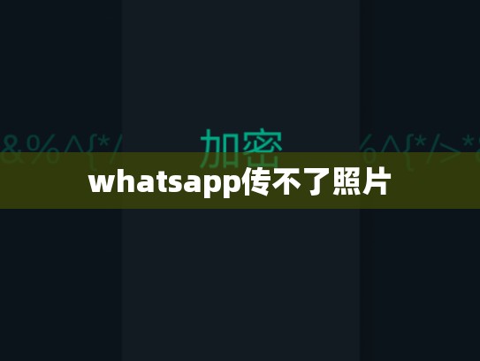 whatsapp传不了照片
