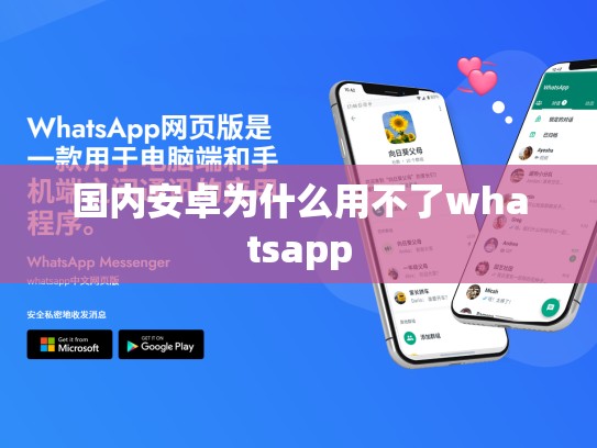 国内安卓为什么用不了whatsapp