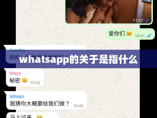 whatsapp的关于是指什么