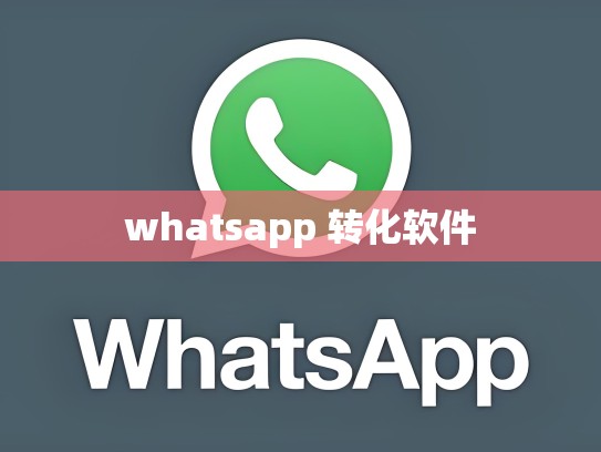 whatsapp 转化软件