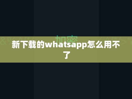 新下载的whatsapp怎么用不了