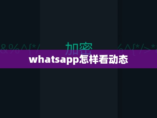 whatsapp怎样看动态