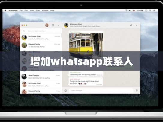 增加whatsapp联系人