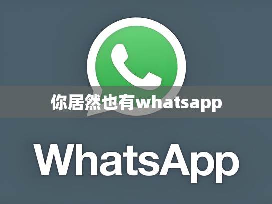 你居然也有whatsapp