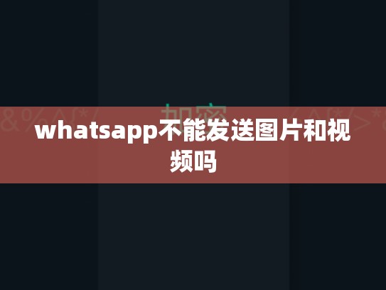 whatsapp不能发送图片和视频吗