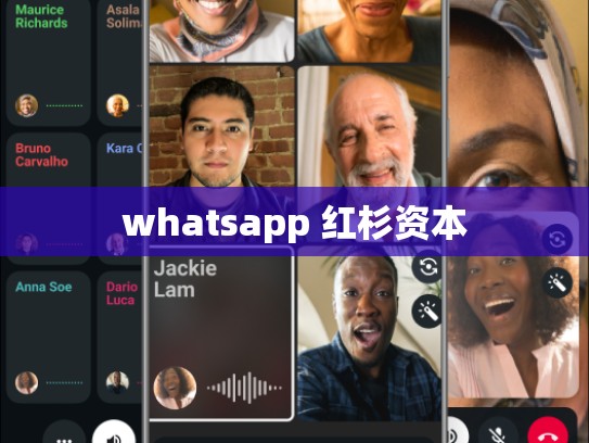 whatsapp 红杉资本