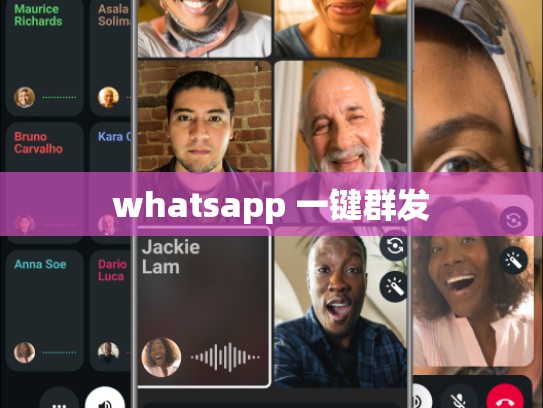 whatsapp 一键群发