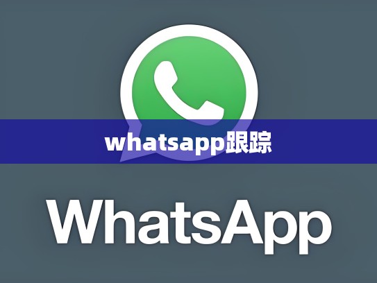 whatsapp跟踪