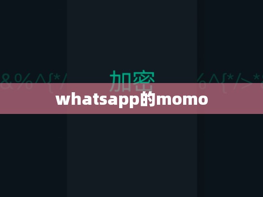 whatsapp的momo