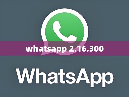 whatsapp 2.16.300