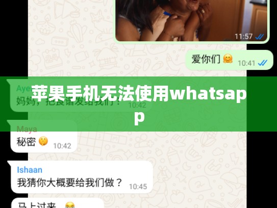苹果手机无法使用whatsapp