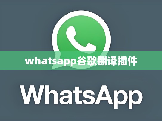 whatsapp谷歌翻译插件