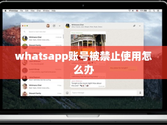 whatsapp账号被禁止使用怎么办