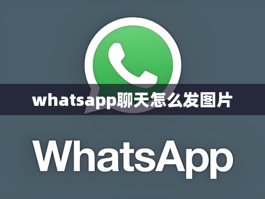 whatsapp聊天怎么发图片