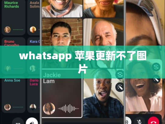 whatsapp 苹果更新不了图片