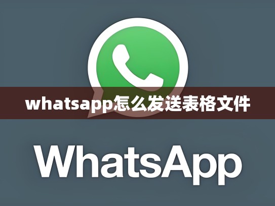 whatsapp怎么发送表格文件