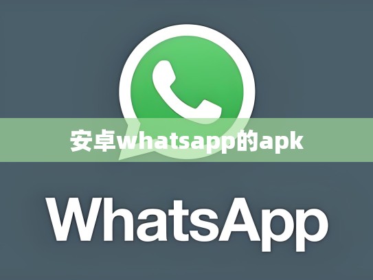 安卓whatsapp的apk