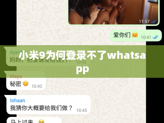 小米9为何登录不了whatsapp