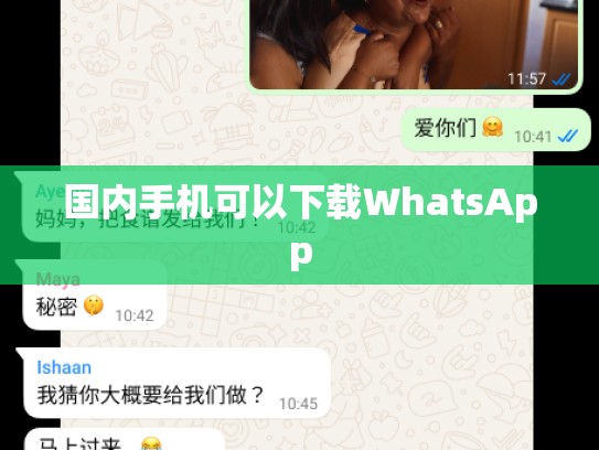 国内手机可以下载WhatsApp
