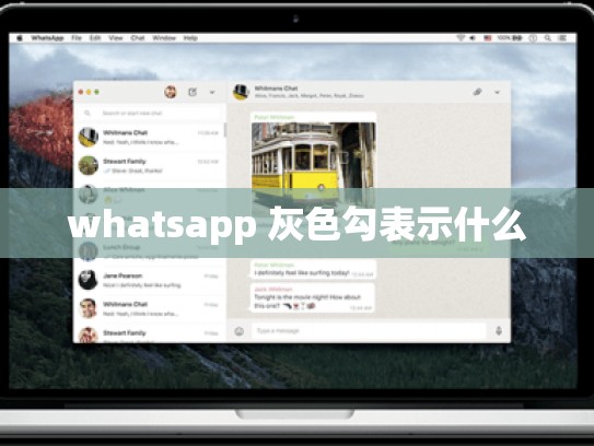 whatsapp 灰色勾表示什么