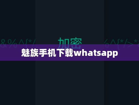 魅族手机下载whatsapp