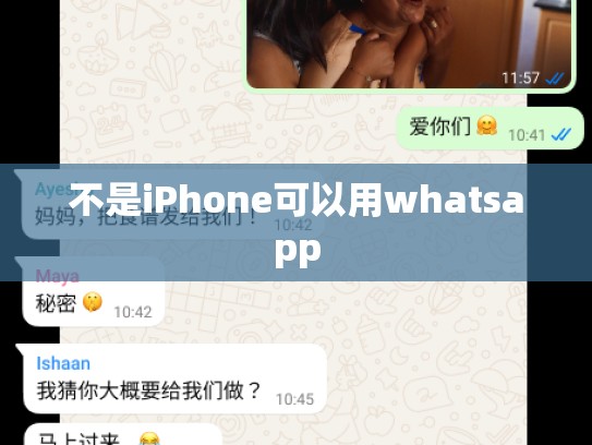 不是iPhone可以用whatsapp