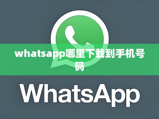 whatsapp哪里下载到手机号码