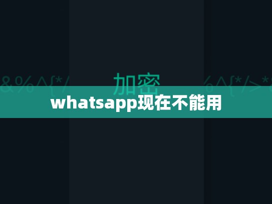 whatsapp现在不能用