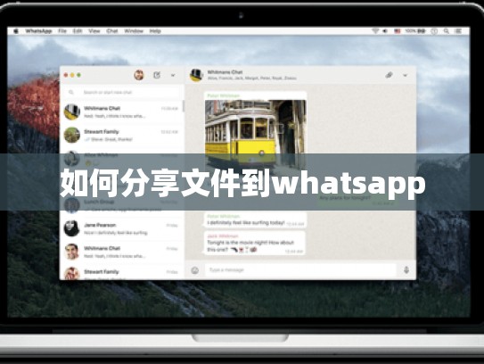 如何分享文件到whatsapp