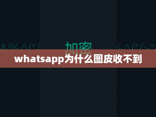 whatsapp为什么图皮收不到