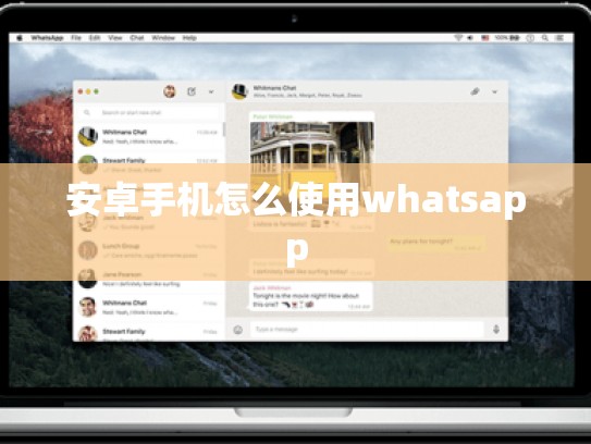 安卓手机怎么使用whatsapp