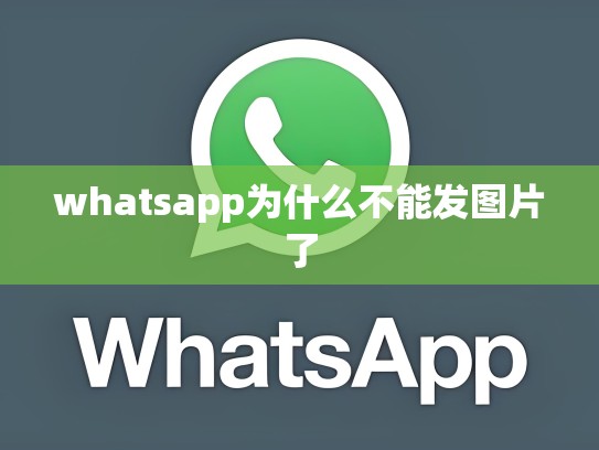 whatsapp为什么不能发图片了