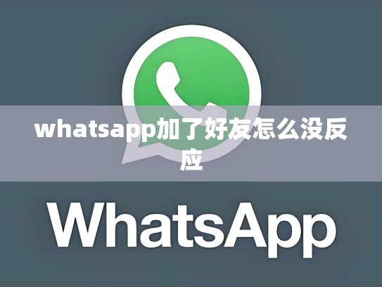 whatsapp加了好友怎么没反应