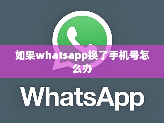 如果whatsapp换了手机号怎么办