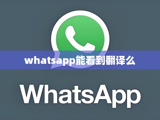 whatsapp能看到翻译么