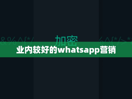 业内较好的whatsapp营销