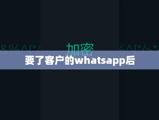 要了客户的whatsapp后