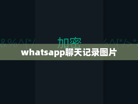 whatsapp聊天记录图片