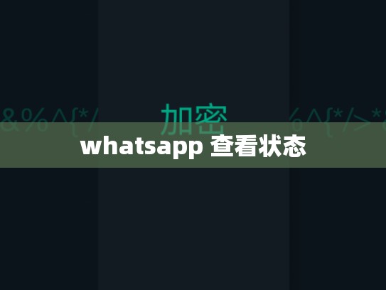 whatsapp 查看状态
