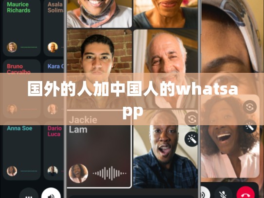 国外的人加中国人的whatsapp