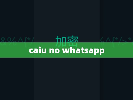 caiu no whatsapp