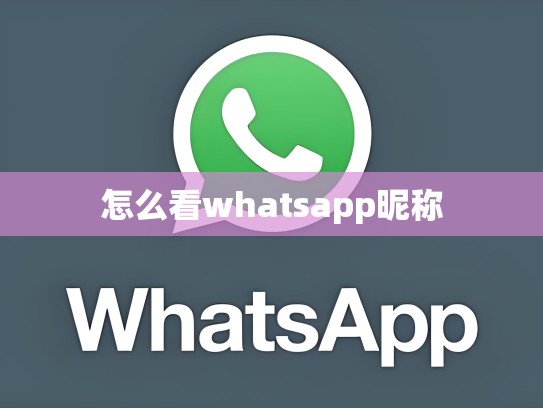 怎么看whatsapp昵称