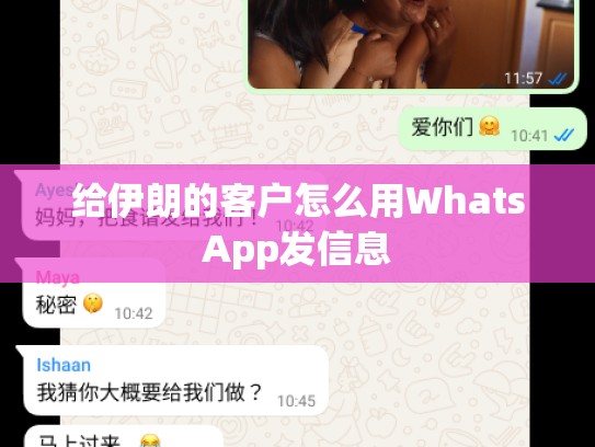 给伊朗的客户怎么用WhatsApp发信息