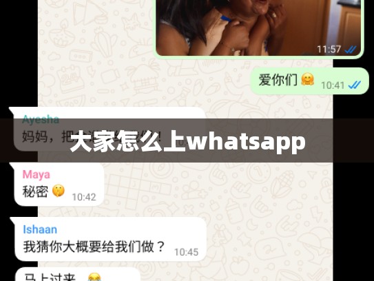 大家怎么上whatsapp