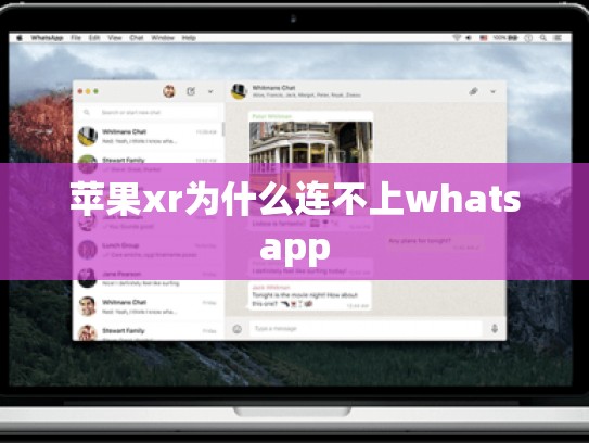 苹果xr为什么连不上whatsapp