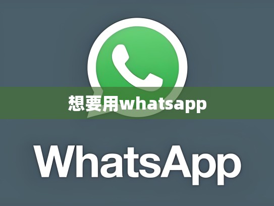 想要用whatsapp
