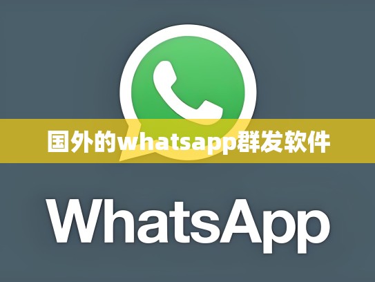 国外的whatsapp群发软件