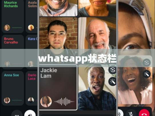 whatsapp状态栏